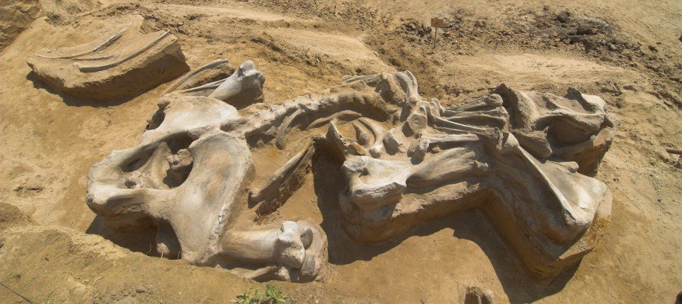 mammoth-20140630-001