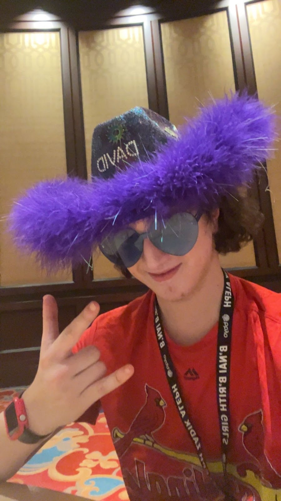 Person wearing purple cowboy hat with feathers